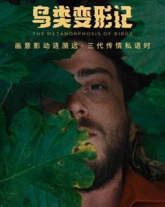 鸟类变形记,探寻自然界的神奇蜕变之旅